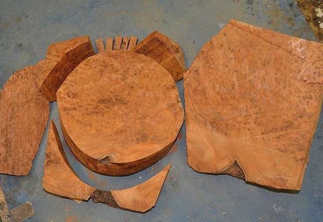 The Burl Cutting